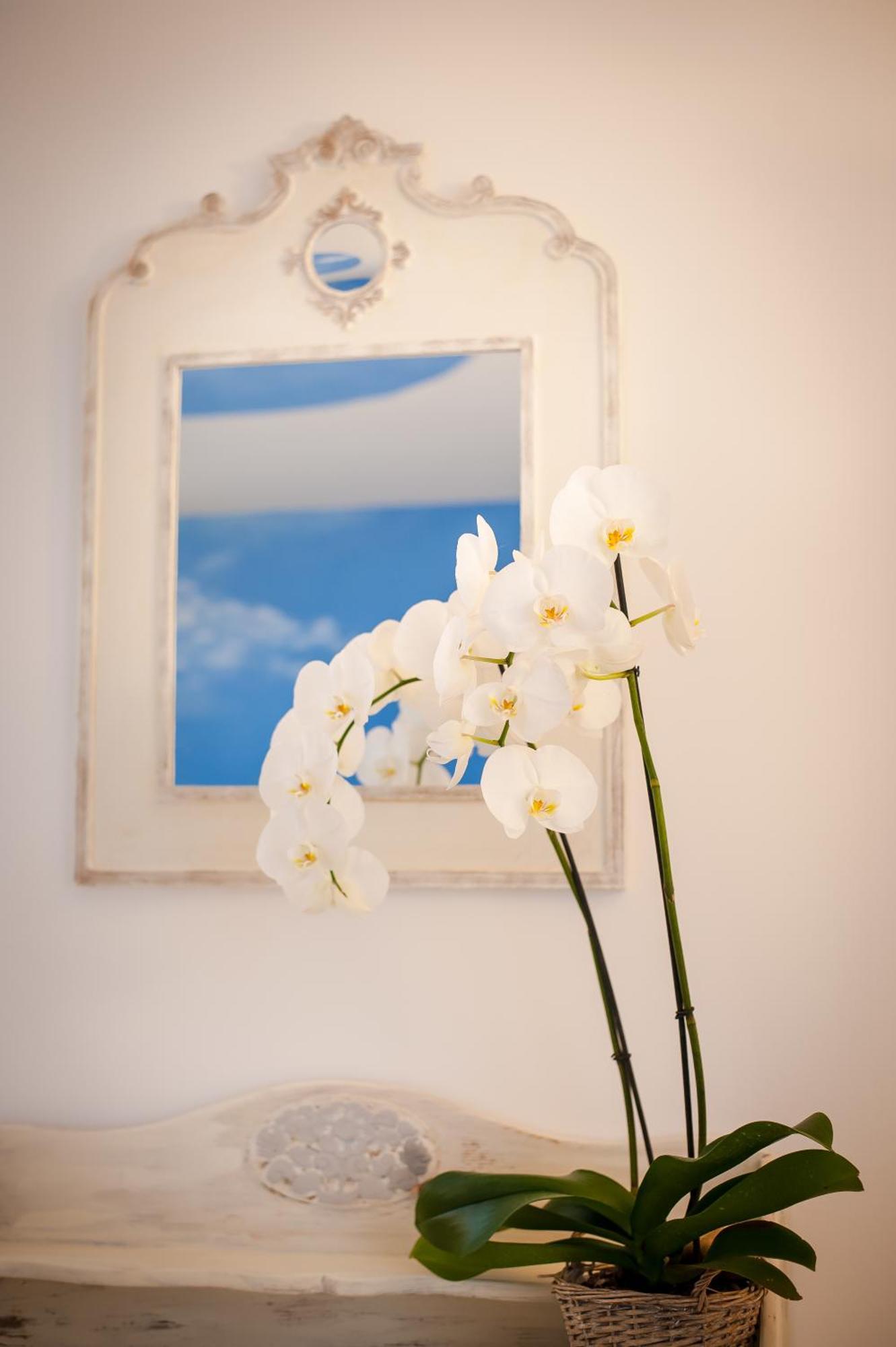 Bed and Breakfast Les 4 Elements Tourrettes-sur-Loup Pokoj fotografie