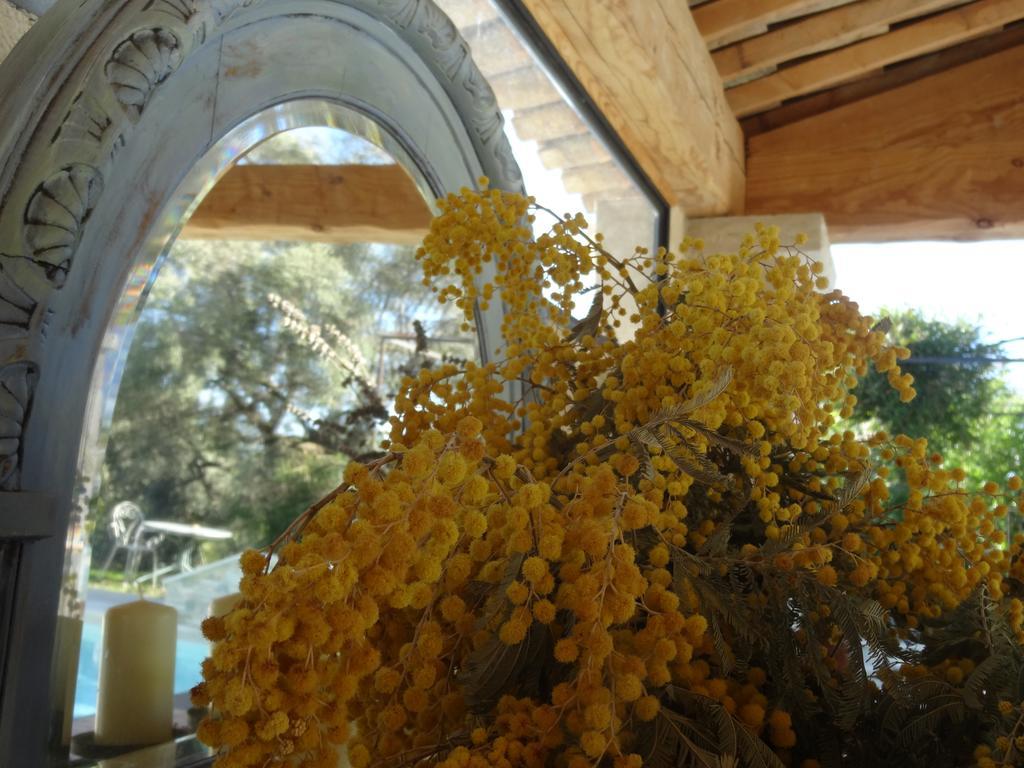 Bed and Breakfast Les 4 Elements Tourrettes-sur-Loup Exteriér fotografie