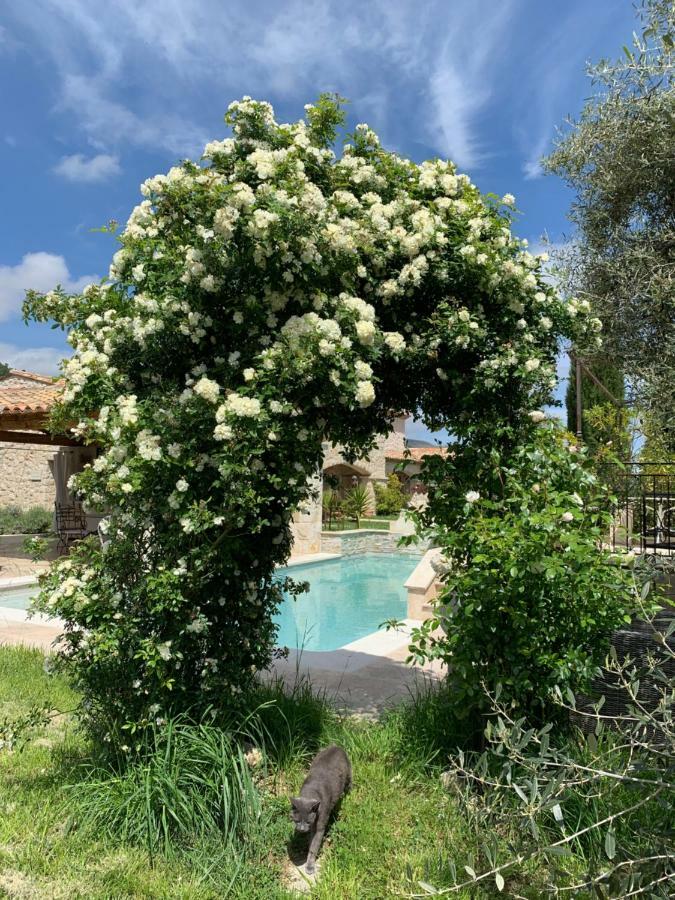 Bed and Breakfast Les 4 Elements Tourrettes-sur-Loup Exteriér fotografie